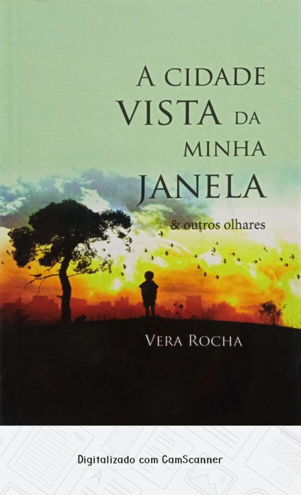 A cidade vista da Minha janela & outros olhares/ Vera Rocha/ Novo