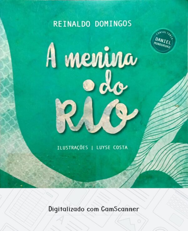 A Menina Do Rio / Reinaldo Domingos / Usado