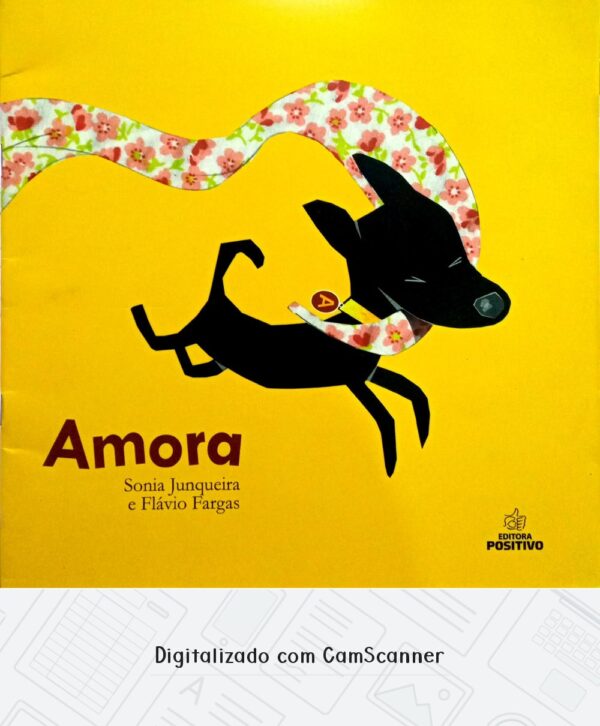 Amora/ Sonia Junqueira e Flávio Fargas/ Usado