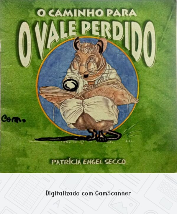 O caminho para o vale perdido/ Patrícia Engel Secco/ Usado