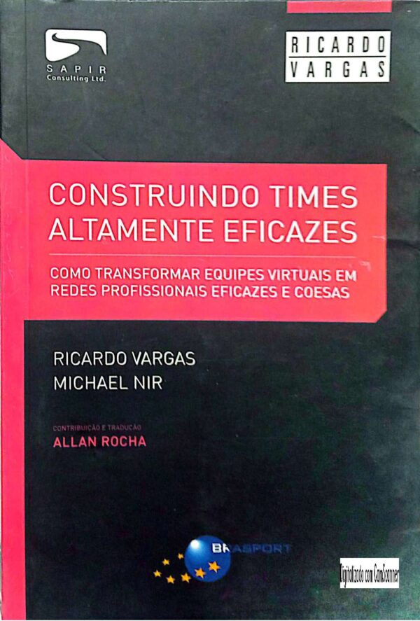 Construindo times altamente eficazes/ Ricardo Vargas/ Usado